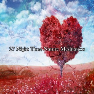 27 Night Time Nature Meditation