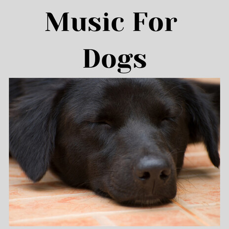 Meditating Dog Sounds ft. Music For Dogs Peace, Relaxing Puppy Music & Calm Pets Music Academy