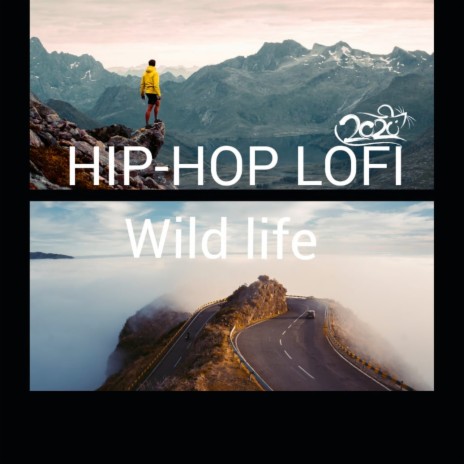 Lofi Safari ft. Lofi Beats Danny | Boomplay Music