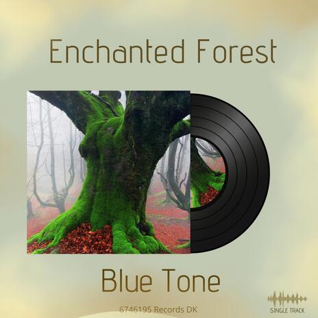 Enchanted Forest | Boomplay Music