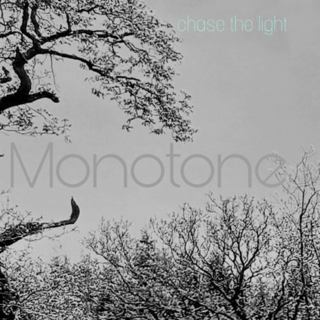 Chase The Light | Boomplay Music
