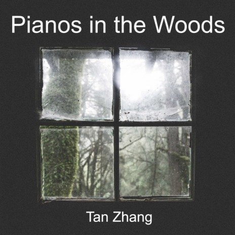 Pianos in the Woods | Boomplay Music