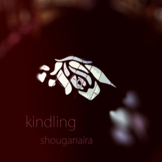 Kindling lyrics | Boomplay Music