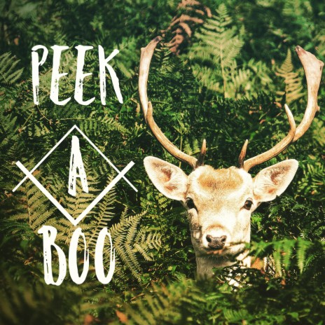 Peekaboo | Boomplay Music