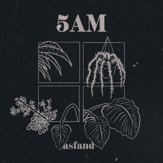 5AM