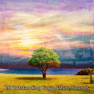 26 Outstanding Yoga Nature Sounds