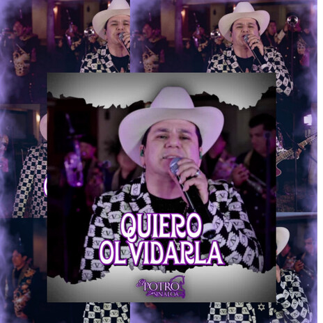 Quierro Olvidarla (En Vivo) | Boomplay Music