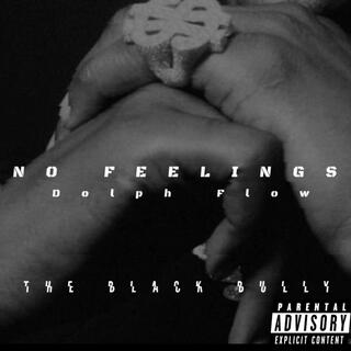 No Feelings (DOLPH FLOW)