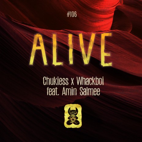 Alive (Radio Mix) ft. Amin Salmee | Boomplay Music