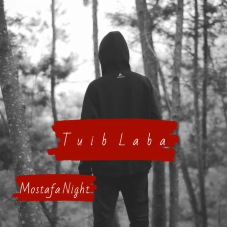 Tuib Laba | Boomplay Music