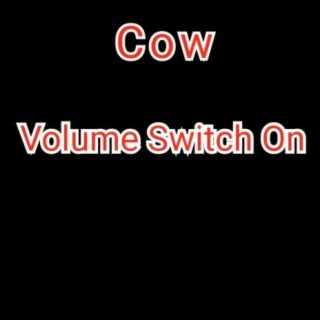 Volume Switch On