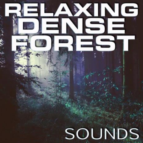 Deep Dense Forest Sounds for Sleeping ft. Premium Soundscapes, FX Sounds, 3D White Noise, Luxurious Soundscapes FX & Feel Good Sounds 3D | Boomplay Music