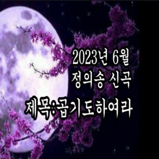 정의송 2023년 6월 신곡