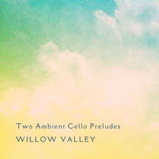 Two Ambient Cello Preludes