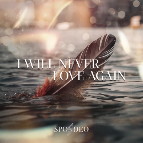 I Will Never Love Again | Boomplay Music