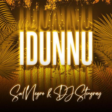 Idunnu ft. DJ Stingray | Boomplay Music