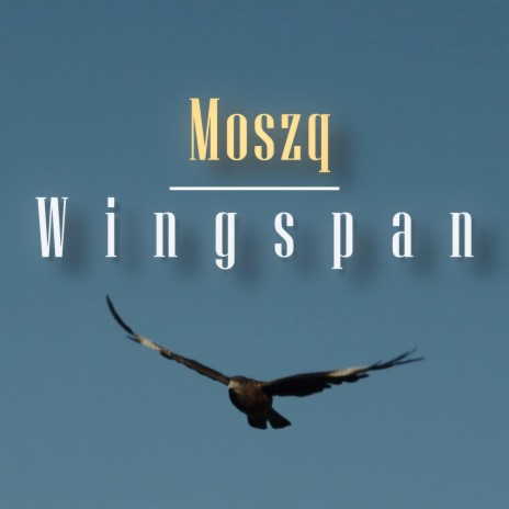 Wingspan | Boomplay Music