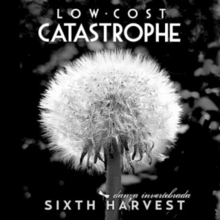 Low-Cost Catastrophe