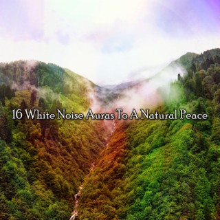 16 White Noise Auras To A Natural Peace