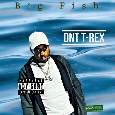 Big Fish | Boomplay Music