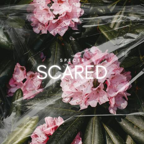 Scared | Boomplay Music