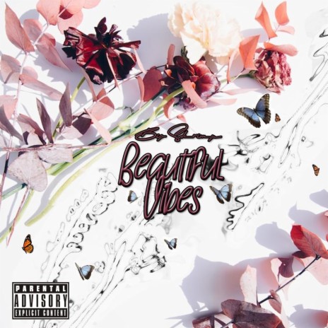 Beautiful Vibes | Boomplay Music