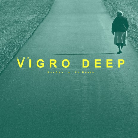 Like Vigro Deep ft. VR BEATS | Boomplay Music