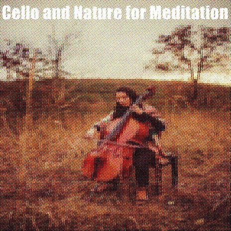 Cello and Nature for Meditation | Boomplay Music
