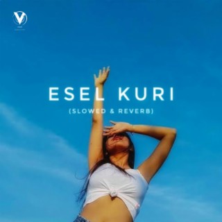 Esel Kuri Do (Slowed & Reverb)
