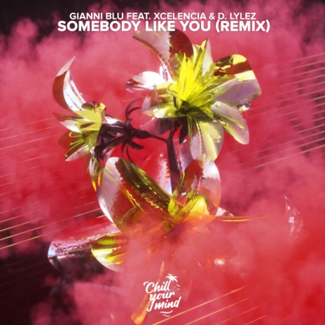 Somebody Like You (Xcelencia Remix) ft. D. Lylez & Xcelencia | Boomplay Music