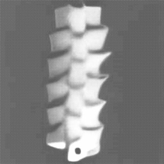 STYROFOAM SPINE