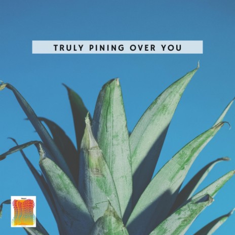 Truly Pining Over You | Boomplay Music