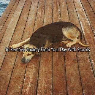 36 Remove Anxiety From Your Day With Storms
