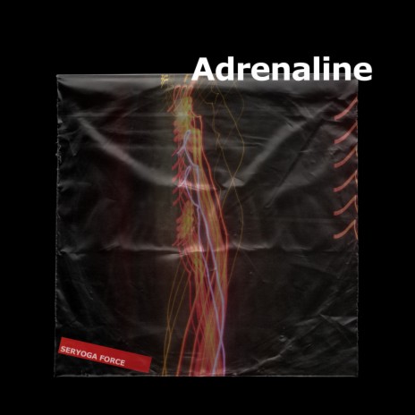 Adrenaline | Boomplay Music