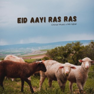 Eid Aayi Ras Ras