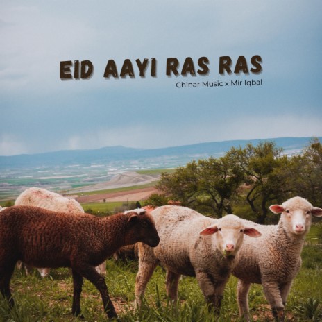 Eid Aayi Ras Ras ft. Mir Iqbal | Boomplay Music