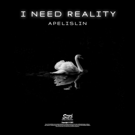 I Need Reality (Radio Edit) | Boomplay Music