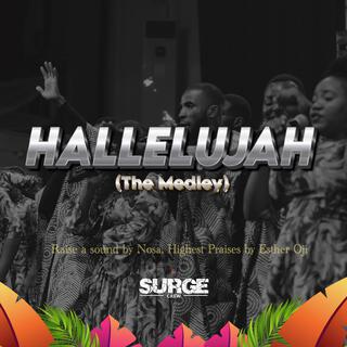 Hallelujah (the medley)