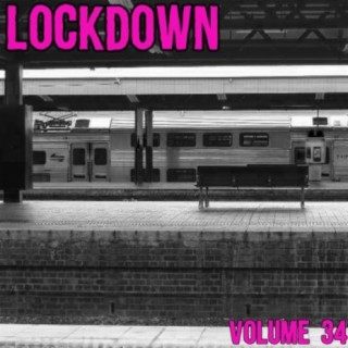 Lock Down, Vol. 34