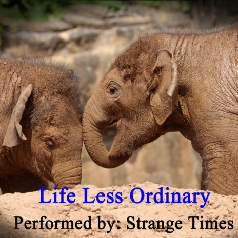 Life Less Ordinary | Boomplay Music