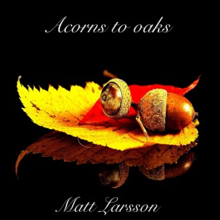 Acorns to oaks