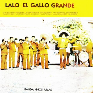 Lalo el gallo grande