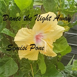 Dance the Night Away - Instruments