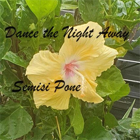 Dance the Night Away (Instrumental)