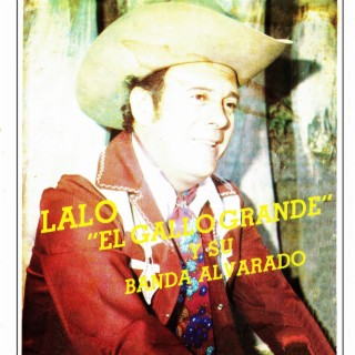 Lalo el gallo grande