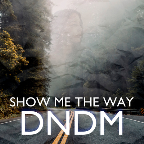 Show Me the Way | Boomplay Music