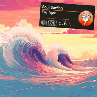 Soul Surfing