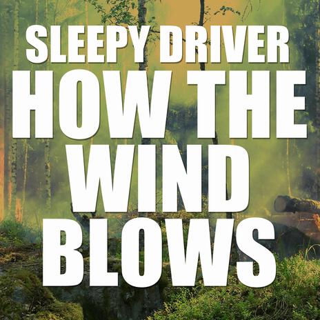 How The Wind Blows | Boomplay Music