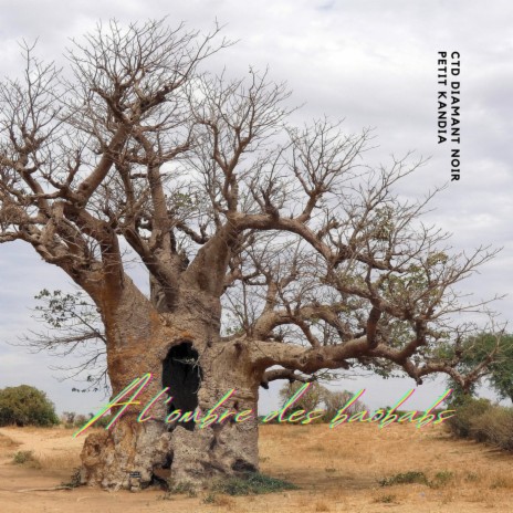 à l'ombre des baobabs ft. CTD Diamant Noir | Boomplay Music