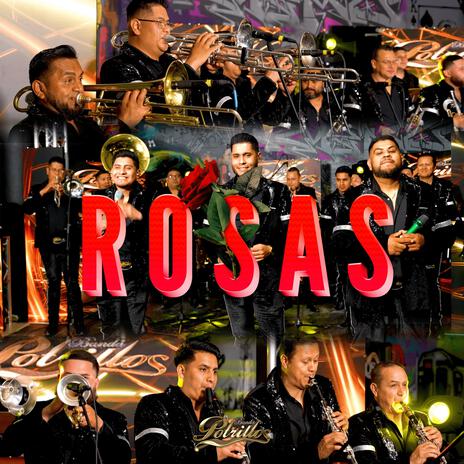 Rosas | Boomplay Music